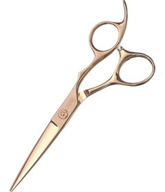 Foarfece CISORIA RGOE550 5,5"