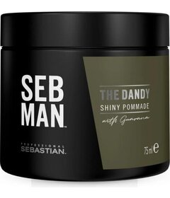 Sebastian Professional Seb Man The Dandy pomáda na vlasy 75ml