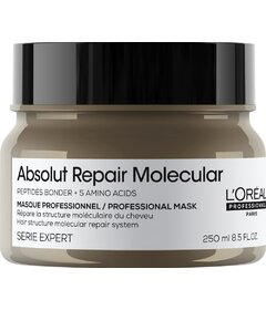 L'Oréal Professionnel Absolut Repair Mască moleculară pentru păr deteriorat 250 ml