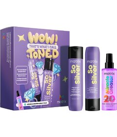 Set cadou Matrix So Silver pentru neutralizarea nuanțelor de galben din păr