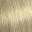 10/81 blond foarte deschis perlat-cenușiu