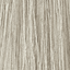 10/81 blond foarte deschis perlat-cenușiu