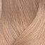 9GV blond foarte deschis auriu-violet