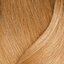 509N blond foarte deschis natural acoperire Extra