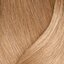 509NA blond foarte deschis natural-cenușiu Extra