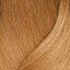 509G blond foarte deschis auriu acoperire Extra
