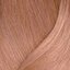 509AV blond foarte deschis cenușiu-violet Extra