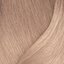 11GV blond plus foarte deschis auriu-violet
