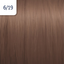 6/19 blond închis cenușiu-cendré